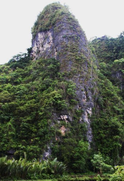 Hutan Batu Terbesar And Terindah Kedua Ada Di Indonesia Oxa234