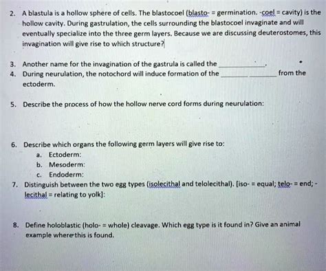 Solved A Blastula Is A Hollow Sphere Of Cells The Blastocoel Blasto
