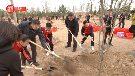 时政现场说丨春回大地 义务植树正当时 央广网