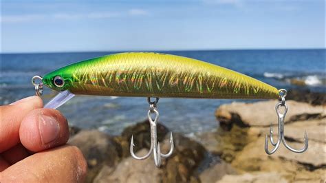 Pesca Con Señuelo Minnow O Rapala En El Mar Pargos Y Cabrillas Youtube