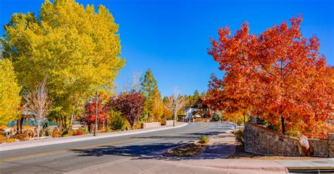 Big Bear Lake Fall Colors: Best Spots for Viewing