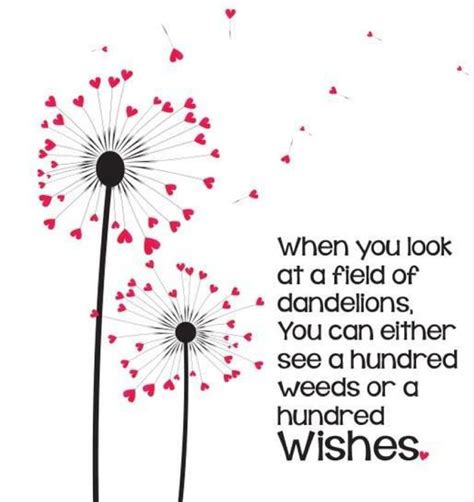 Dandelion Wish Quotes Quotesgram