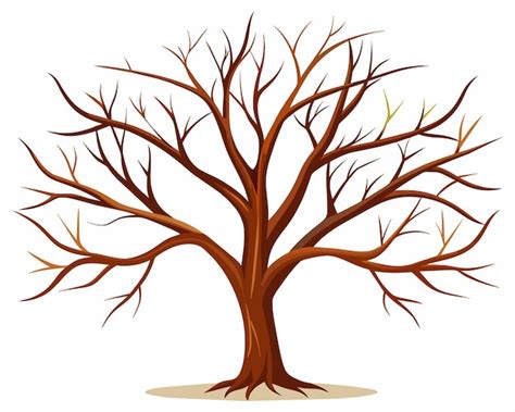 Baum Mit Aesten Vektoren Und Illustrationen Zum Kostenlosen Download