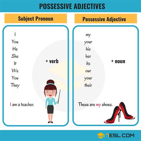 Exercícios De Inglês Possessive Adjectives E Possessive Pronouns Com Gabarito Edukita