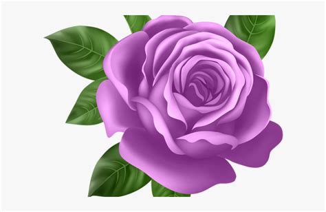 Fuschia Flowers Clip Art Library