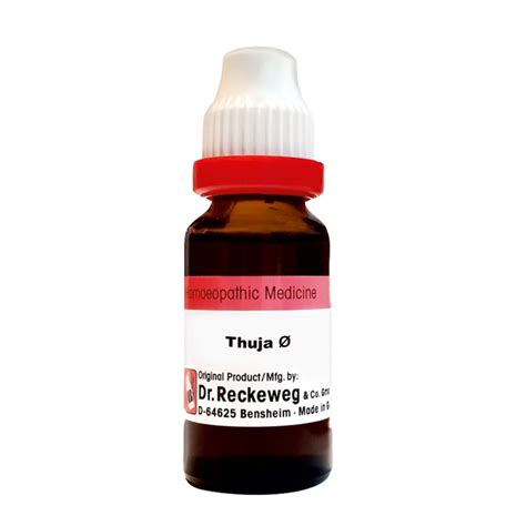 Buy Dr Reckeweg Thuja Occidentalis Ø 20ml Online In Pakistan My