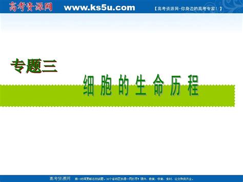 2010届高考生物二轮复习课件专题三：细胞的生命历程word文档免费下载亿佰文档网