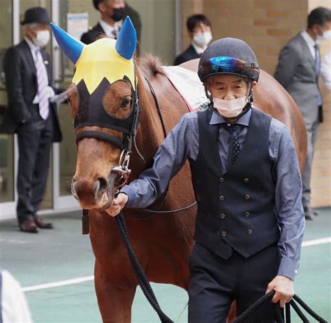 Et Coquine On Twitter 2023312 中京競馬第11レース・金鯱賞（gⅡ）のパドック。 5枠6番ルビー