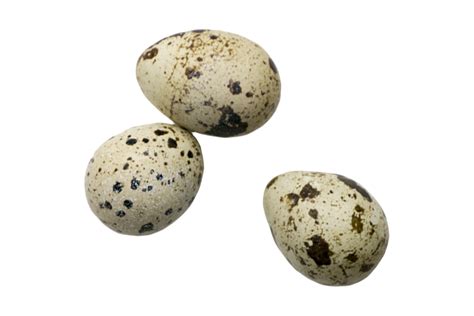 Three Quail Eggs Isolated On A Transparent Background 22745467 PNG