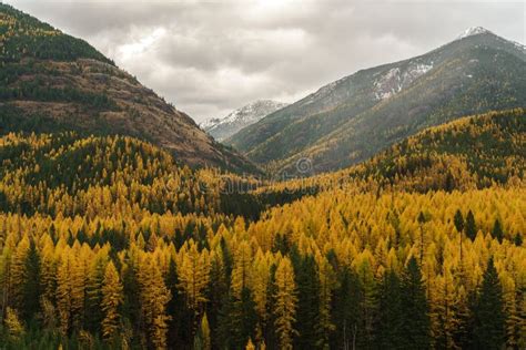 A Montana Fall Stock Image Image Of Montana Blue Scenic 107109501