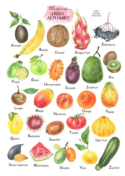 Watercolor Fruit Alphabet Clipart, Fruits ABC, Alphabet Poster ...