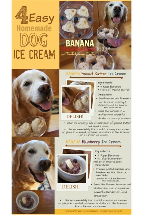 4 Easy Recipes: Dog Ice Cream - Golden Woofs | Dog ice cream recipe ...