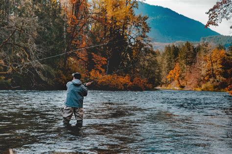 North Island Tourism Vancouver Island