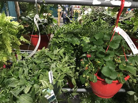 Nashville Lawn & Garden Show | Nashville TN