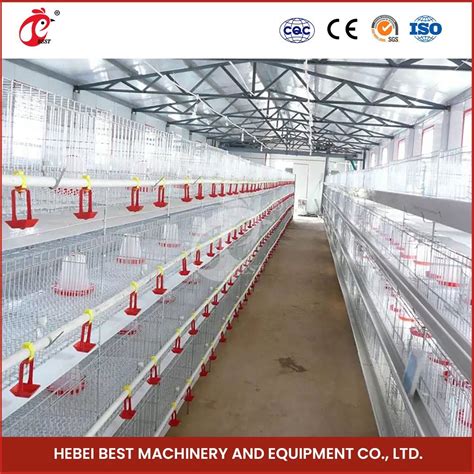 Bestchickencage Egg Chicken Cages China Chick Layer Cage Manufacturing