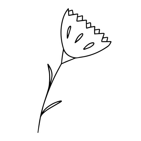 Premium Vector | Delicate sketch of a spring flower vector illustration ...