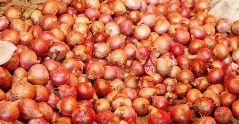 Govt To Import Tonnes Of Onion