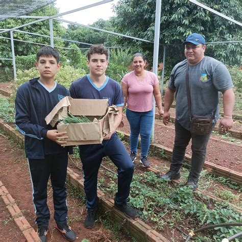 Entrega De Plantines A Peque Os Productores Del Distrito