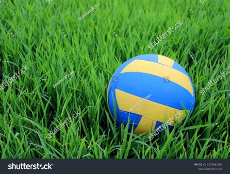 Volleyball On Green Grass Field Park Stock Photo 2170682283 | Shutterstock