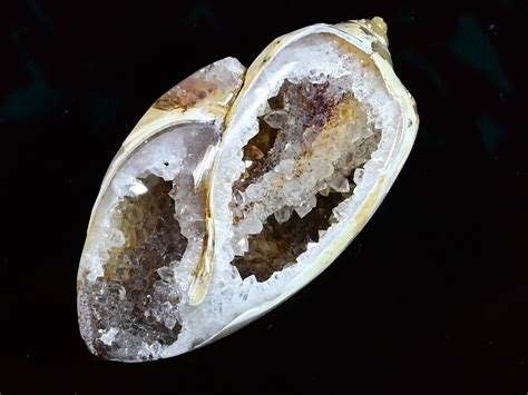 Natural Fossil Druzy Agate 38 Ct 100 Natural Snail Druzy Fossil Snail