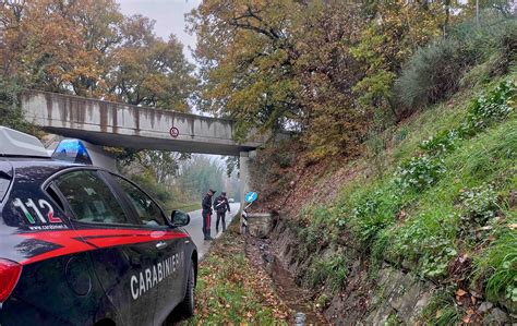 Incidente Nella Notte Morti Quattro Giovani Cronaca Ttv