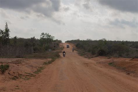 The road to Savannah | Smithsonian Photo Contest | Smithsonian Magazine