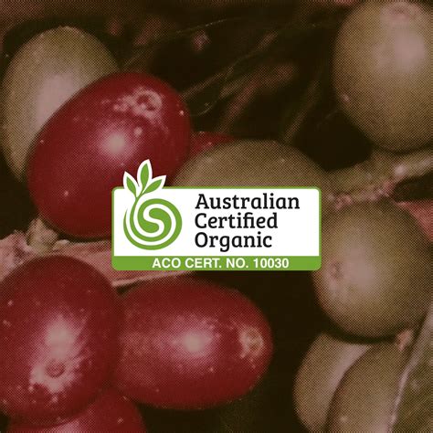 The Certified Organic Coffee Industry Hides A Surprising Truth - RYZE Superfoods