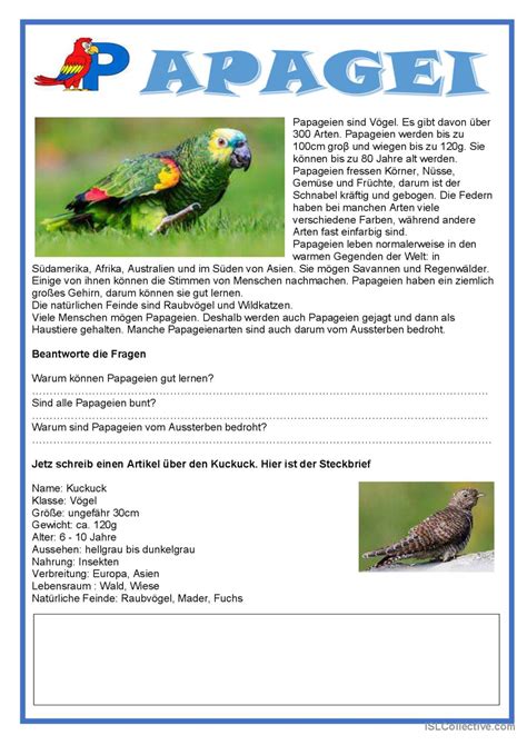 Einfache Texte Papagei Allgemeine Deutsch Daf Arbeitsbl Tter Pdf Doc