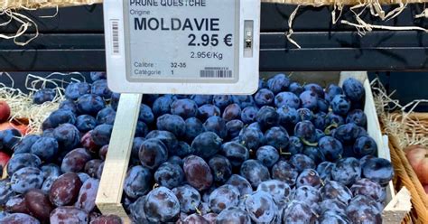 Moldova Al Lea Cel Mai Mare Exportator Mondial De Prune