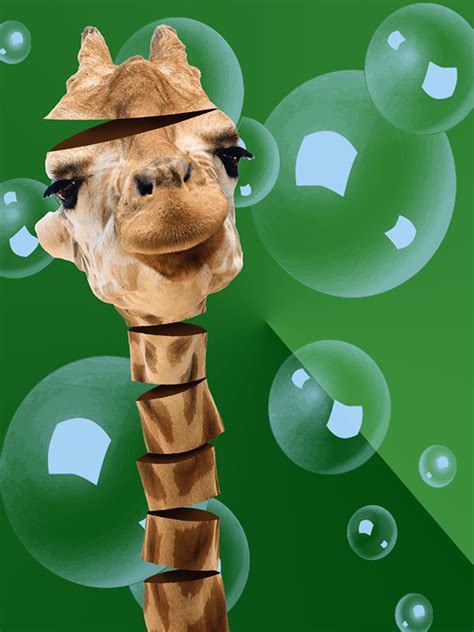 Crazy Giraffe on Behance