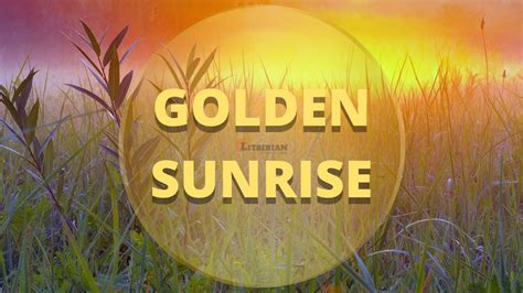 Golden Sunrise For Health Fitness And Weight Loss