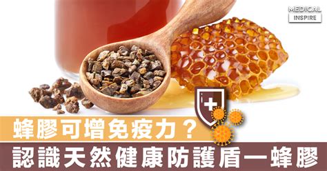 【萬能神物】蜂膠可增免疫力？認識「健康防護盾」——蜂膠的神奇功效。 Medical Inspire 醫・思維