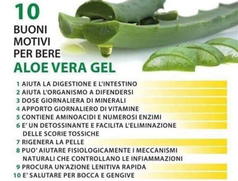 Aloe Vera proprietà benefici e controindicazioni Depurarsi in modo