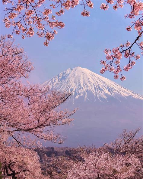 Japanese Landscape Photography