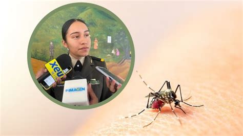 Aumentan Los Casos De Dengue En Elementos De La Sedena En Veracruz