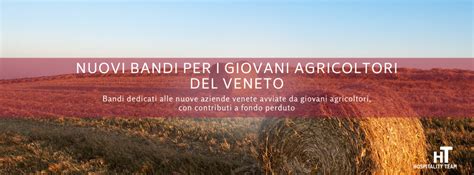 Nuovi Bandi Giovani Agricoltori Veneto Hospitality Team