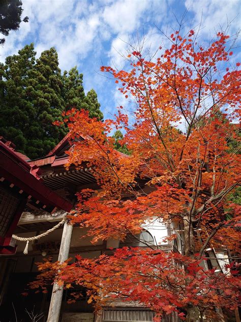 秋葉山🍁 なぉさんの秋葉山の活動データ Yamap ヤマップ