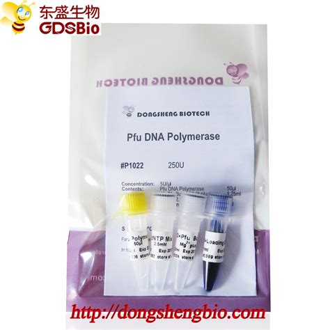 High Fidelity Pfu Dna Polymerase With Loading Buffer And Dntp Pcr Kit China Pcr Amplification