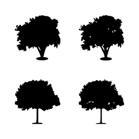 Vector De Silueta De Rbol Siluetas De Rboles Forestales Aislados En