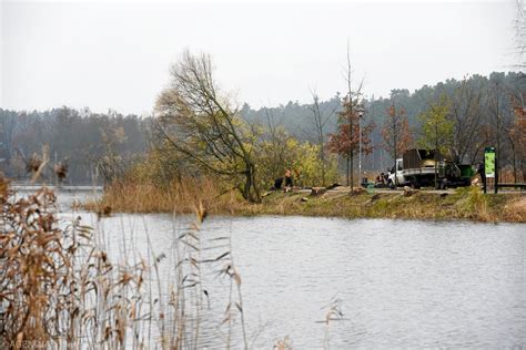 Ostatnia wycinka drzew nad Jeziorem Długim w Olsztynie Więcej wycinać