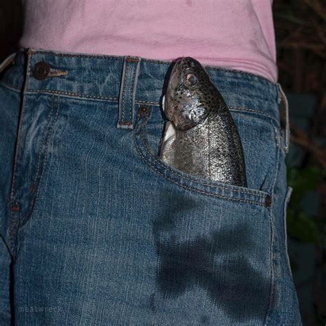 Cursedpocketfish Rcursedimages