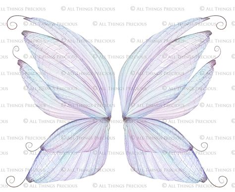 20 Png Digital FAIRY WING Overlays Set 12 Fairy Wings Insect Wings