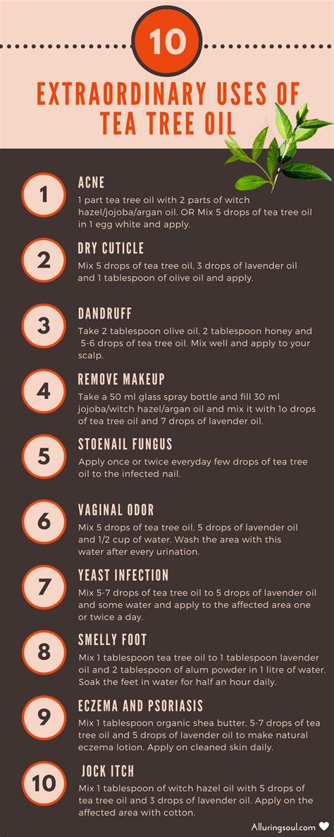 Tea Tree Oil Uses Amazing Benefits For Skin And Hair Artofit