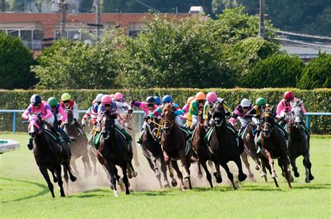 【競馬】jra史上最高、48億馬券爆誕 100円が4億8178万に 的中1票 Anikosu