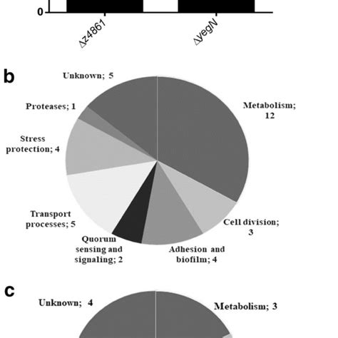 Secretome analysis. a Primary functional classification of ...