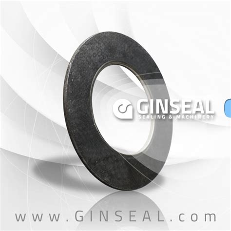 Tanged Graphite Gasket Ss Ss Gaskets Aliexpress