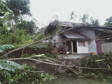 Puluhan Rumah Rusak Diterpa Angin Kencang Dan Pohon Tumbang Kerugian