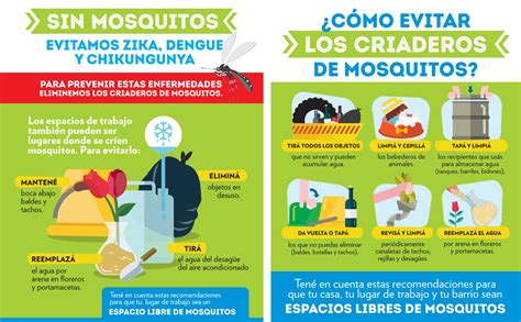 Los Mosquitos No Dan Tregua Y El Municipio Intensifica Fumigaciones