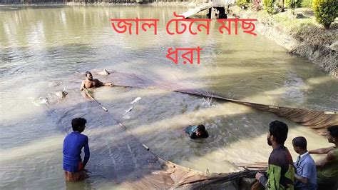 জাল টেনে মাছ ধরলাম Enjoy Bd Village Life Youtube