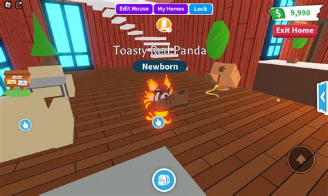 I Got Toasty Red Panda Second Try From A Lure Less Goo Radoptmeroblox